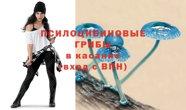 apvp Алексеевка