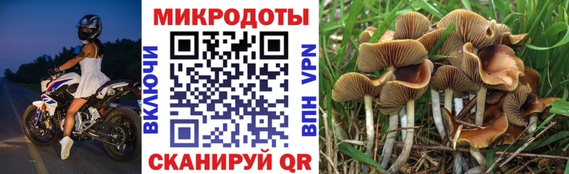 цена наркотик  Пикалёво  hydra маркетплейс  Галлюциногенные грибы ЛСД 